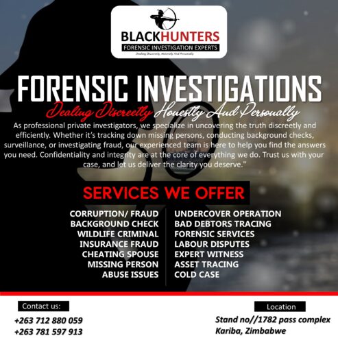 Private investigation services